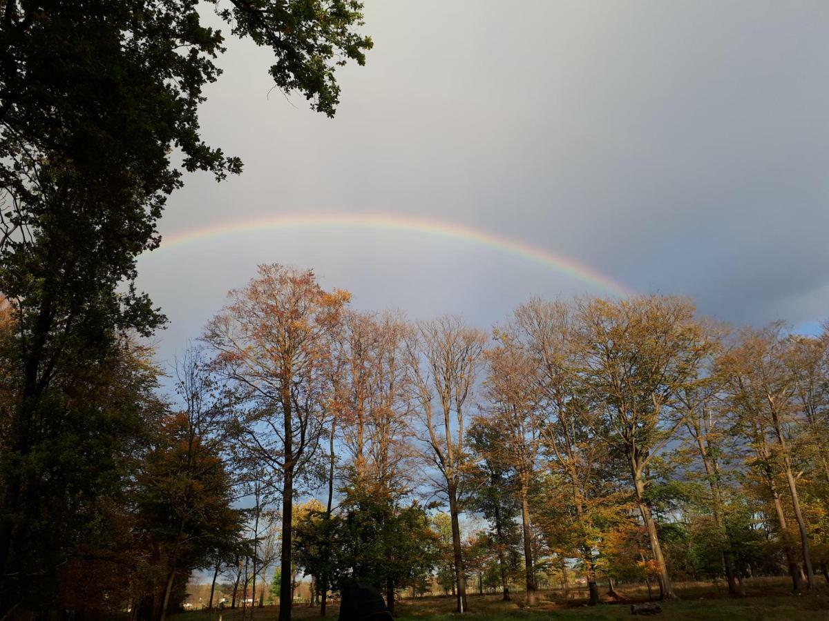 't Schoan leven Villa Wingene Buitenkant foto