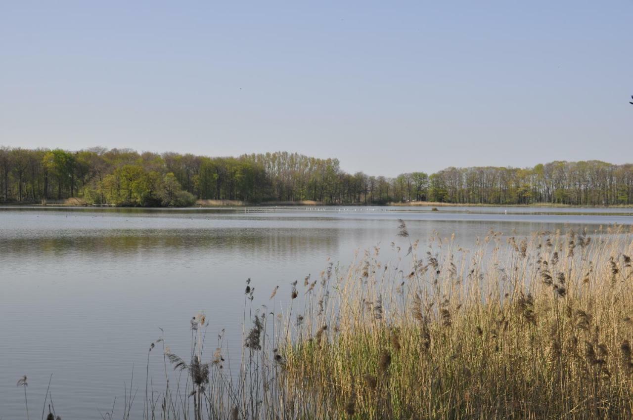 't Schoan leven Villa Wingene Buitenkant foto