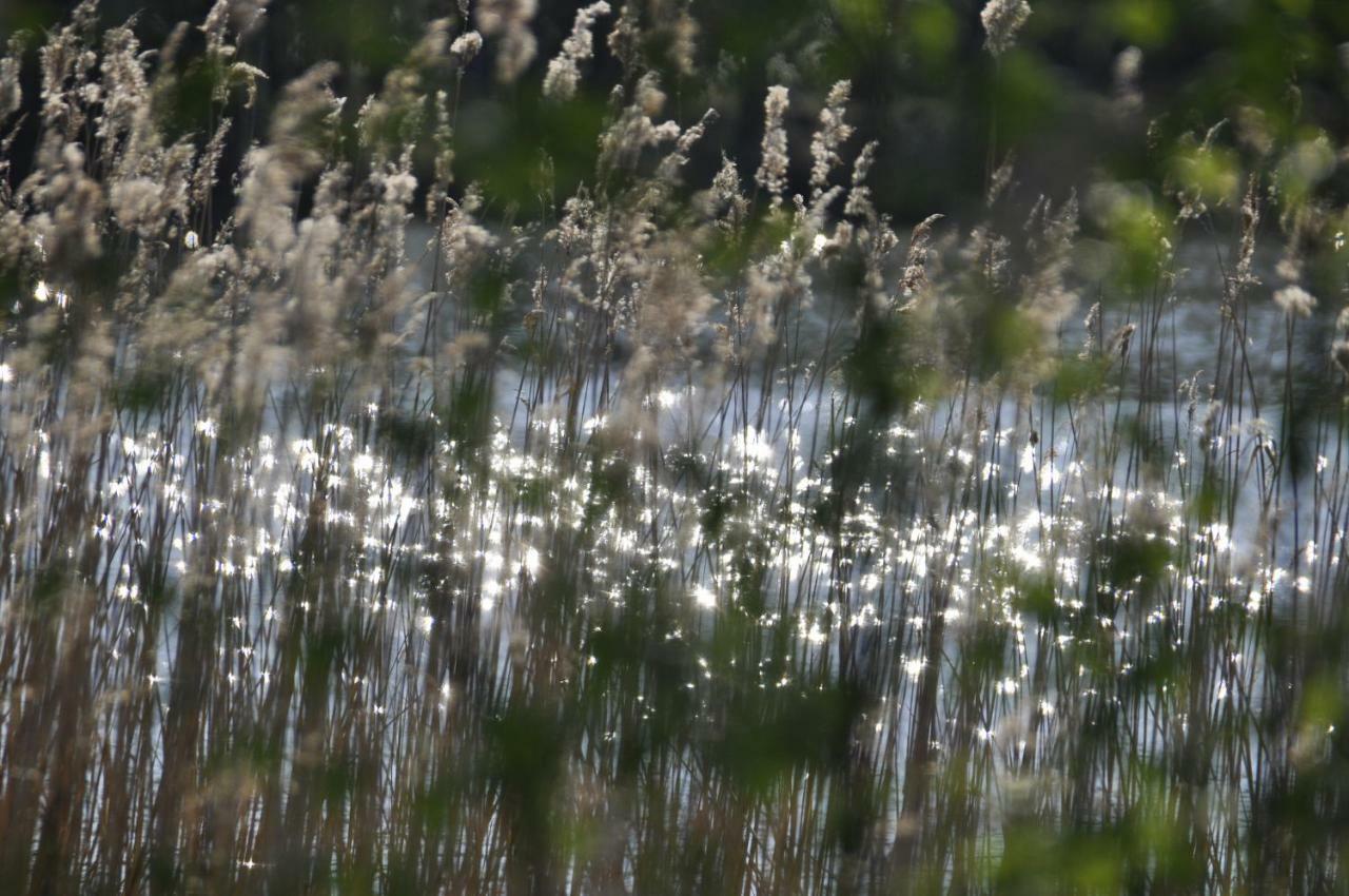 't Schoan leven Villa Wingene Buitenkant foto